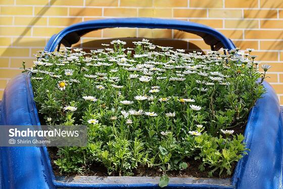 گزارش تصویری | باغ گلهای مشهد میزبان بازدید کننده گان نوروزی