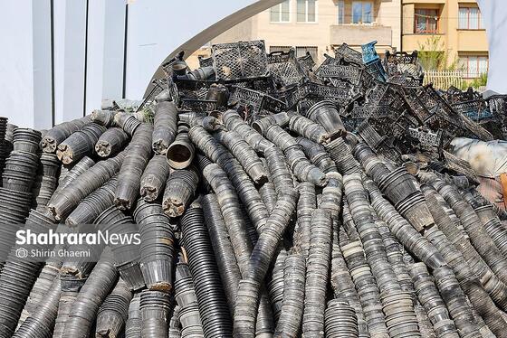 گزارش تصویری | باغ گلهای مشهد میزبان بازدید کننده گان نوروزی