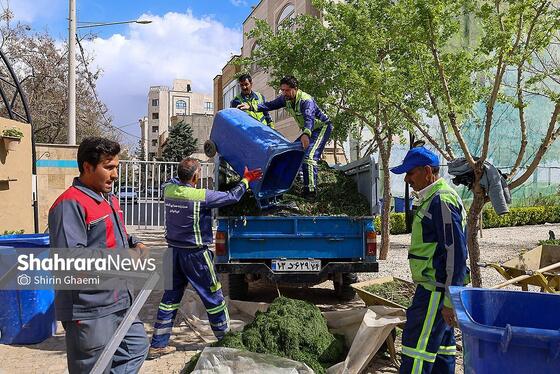 گزارش تصویری | باغ گلهای مشهد میزبان بازدید کننده گان نوروزی