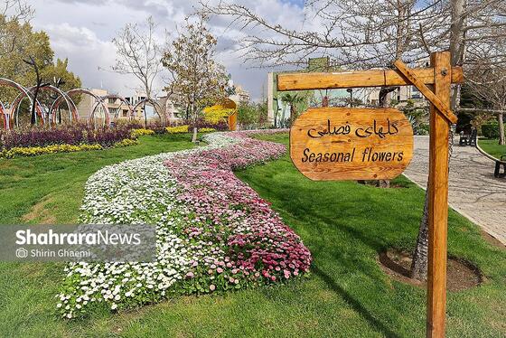گزارش تصویری | باغ گلهای مشهد میزبان بازدید کننده گان نوروزی