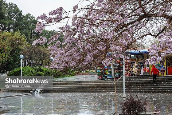 گزارش تصویری | شهر مشهد زیر بارش رحمت الهی در روز ۱۲ فروردین