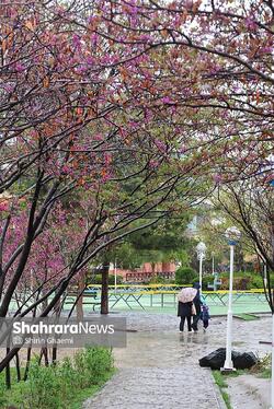 گزارش تصویری | شهر مشهد زیر بارش رحمت الهی در روز ۱۲ فروردین