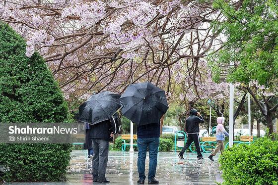 گزارش تصویری | شهر مشهد زیر بارش رحمت الهی در روز ۱۲ فروردین