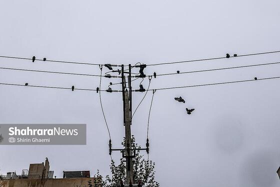 گزارش تصویری | شهر مشهد زیر بارش رحمت الهی در روز ۱۲ فروردین