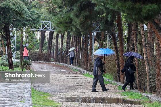 گزارش تصویری | شهر مشهد زیر بارش رحمت الهی در روز ۱۲ فروردین
