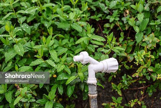 گزارش تصویری | شهر مشهد زیر بارش رحمت الهی در روز ۱۲ فروردین