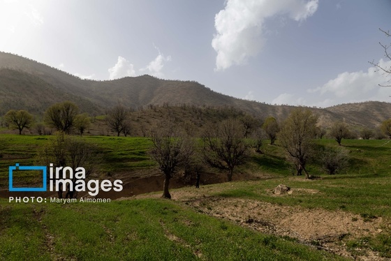 گزارش تصویری | در جست‌وجوی خلبان آمریکایی