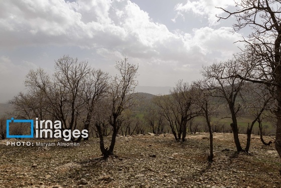 گزارش تصویری | در جست‌وجوی خلبان آمریکایی