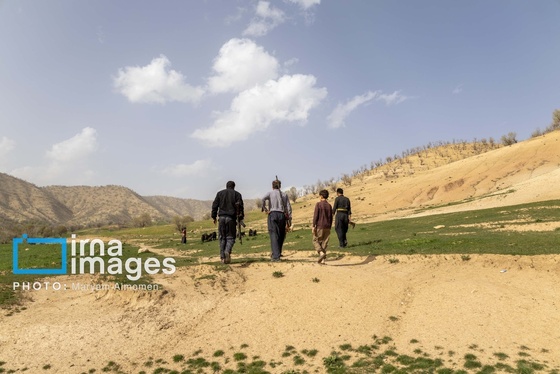 گزارش تصویری | در جست‌وجوی خلبان آمریکایی