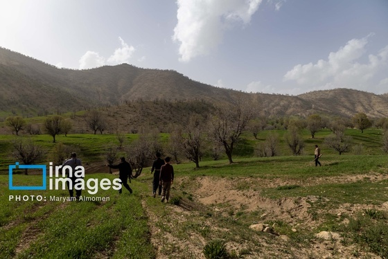 گزارش تصویری | در جست‌وجوی خلبان آمریکایی