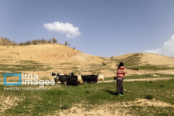 گزارش تصویری | در جست‌وجوی خلبان آمریکایی