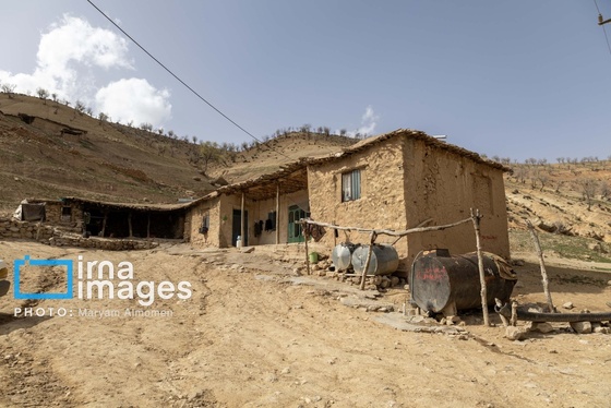 گزارش تصویری | در جست‌وجوی خلبان آمریکایی