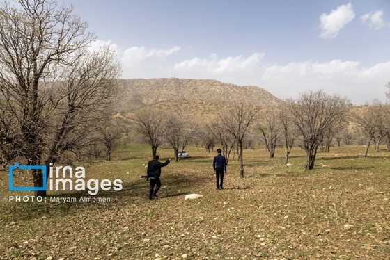 گزارش تصویری | در جست‌وجوی خلبان آمریکایی