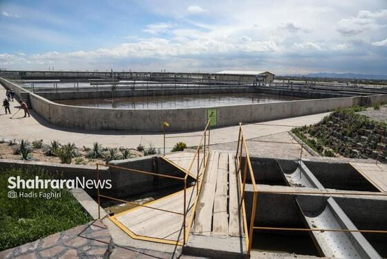 گزارش تصویری | بازدید معاون پیشگیری دادستان کل کشور از تصفیه‌خانه در حال احداث پرکندآباد