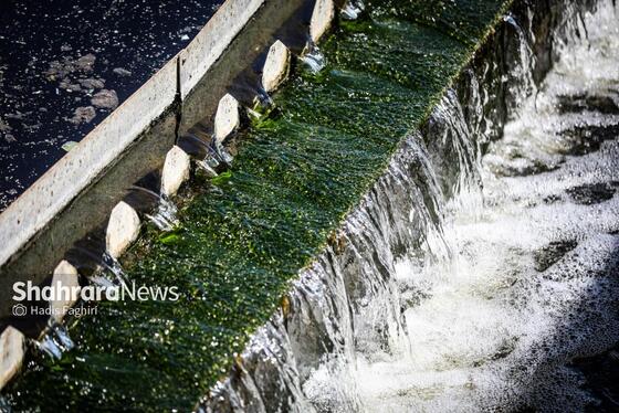 گزارش تصویری | بازدید معاون پیشگیری دادستان کل کشور از تصفیه‌خانه در حال احداث پرکندآباد