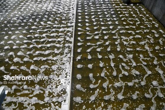 گزارش تصویری | بازدید معاون پیشگیری دادستان کل کشور از تصفیه‌خانه در حال احداث پرکندآباد