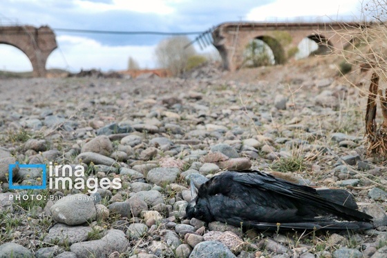 گزارش تصویری | حمله هوایی به پل راه‌آهن امین آباد زنجان