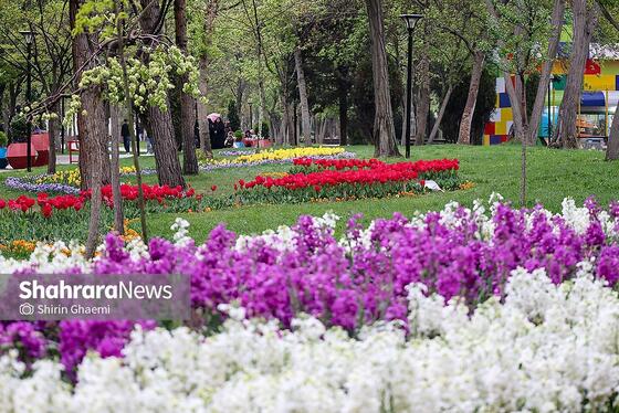 گزارش تصویری | جشنواره گل‌های لاله در مشهد