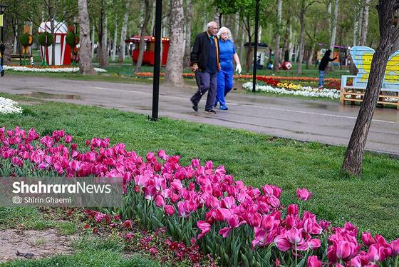 گزارش تصویری | جشنواره گل‌های لاله در مشهد