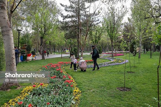 گزارش تصویری | جشنواره گل‌های لاله در مشهد