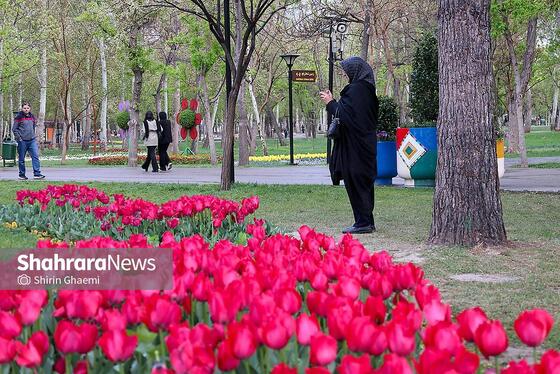 گزارش تصویری | جشنواره گل‌های لاله در مشهد