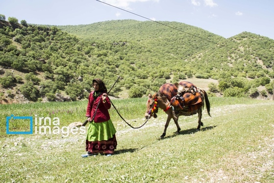 در رسای «برنو»، نماد ایستادگی عشایر مقابل دشمن