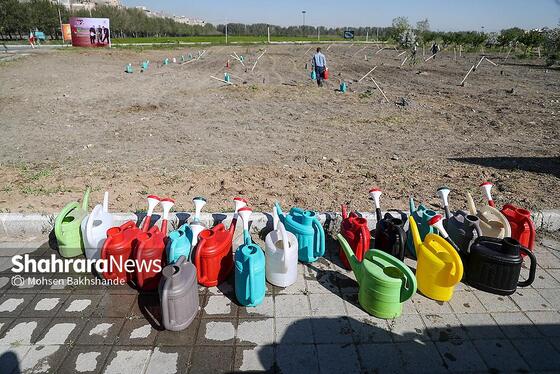 گزارش تصویری | پویش ملی نهال امید با حضور تولیت آستان قدس رضوی