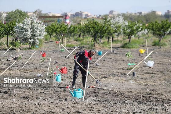 گزارش تصویری | پویش ملی نهال امید با حضور تولیت آستان قدس رضوی