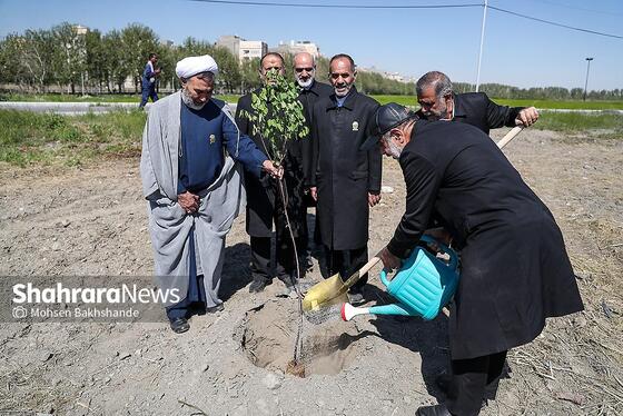 گزارش تصویری | پویش ملی نهال امید با حضور تولیت آستان قدس رضوی