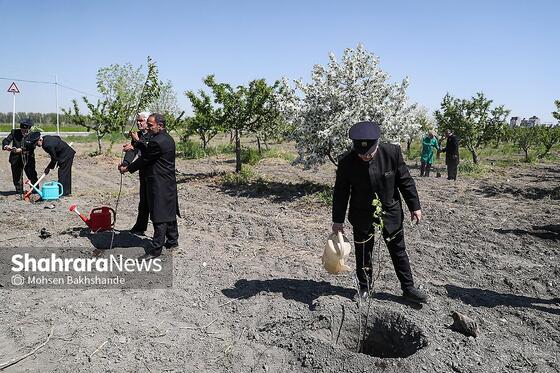 گزارش تصویری | پویش ملی نهال امید با حضور تولیت آستان قدس رضوی