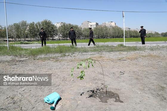 گزارش تصویری | پویش ملی نهال امید با حضور تولیت آستان قدس رضوی