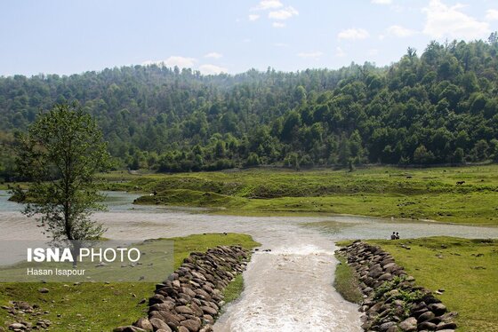 گزارش تصویری | طبیعت بهاری دریاچه لفور - مازندران