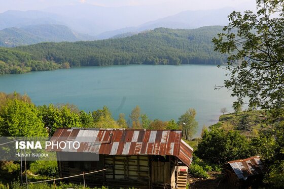 گزارش تصویری | طبیعت بهاری دریاچه لفور - مازندران