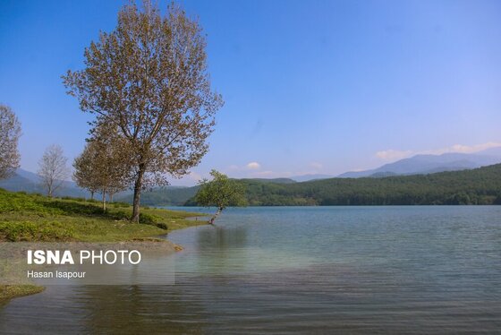 گزارش تصویری | طبیعت بهاری دریاچه لفور - مازندران