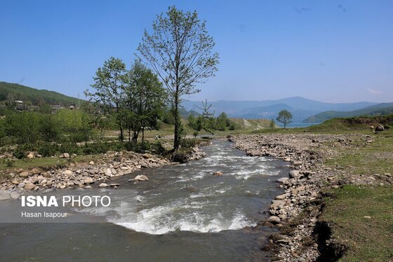 گزارش تصویری | طبیعت بهاری دریاچه لفور - مازندران