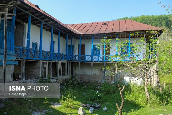 گزارش تصویری | طبیعت بهاری دریاچه لفور - مازندران