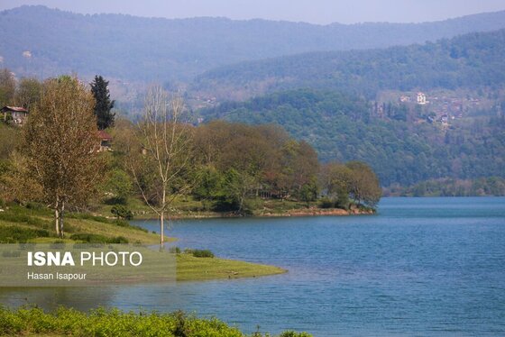 گزارش تصویری | طبیعت بهاری دریاچه لفور - مازندران