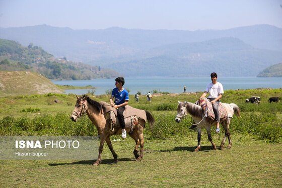 گزارش تصویری | طبیعت بهاری دریاچه لفور - مازندران