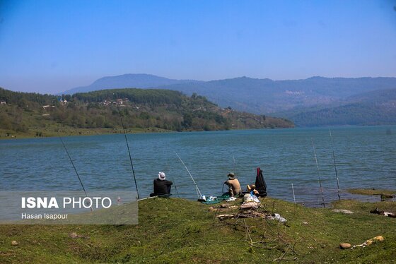 گزارش تصویری | طبیعت بهاری دریاچه لفور - مازندران