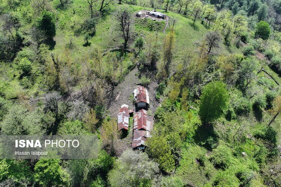 گزارش تصویری | طبیعت بهاری دریاچه لفور - مازندران