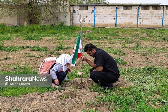 گزارش تصویری | طرح کاشت نهال به یاد دانش آموزان شهید مدرسه میناب