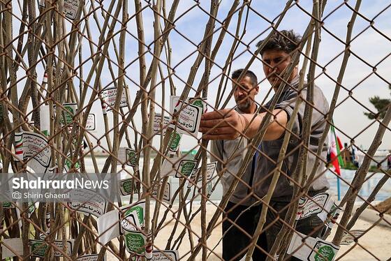 گزارش تصویری | طرح کاشت نهال به یاد دانش آموزان شهید مدرسه میناب