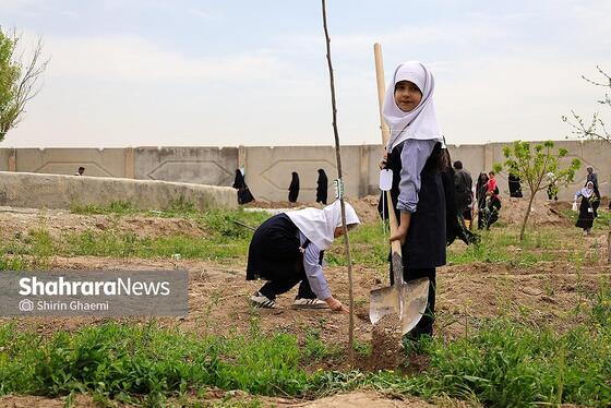 گزارش تصویری | طرح کاشت نهال به یاد دانش آموزان شهید مدرسه میناب