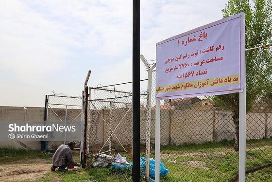 گزارش تصویری | طرح کاشت نهال به یاد دانش آموزان شهید مدرسه میناب