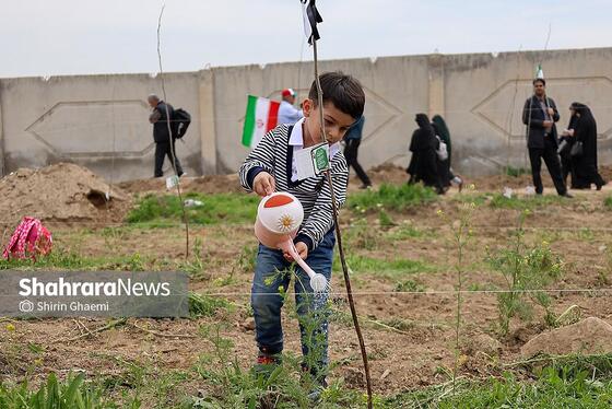 گزارش تصویری | طرح کاشت نهال به یاد دانش آموزان شهید مدرسه میناب