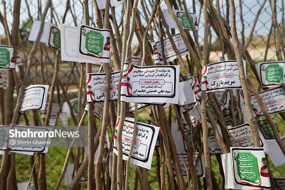 گزارش تصویری | طرح کاشت نهال به یاد دانش آموزان شهید مدرسه میناب