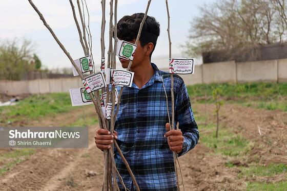 گزارش تصویری | طرح کاشت نهال به یاد دانش آموزان شهید مدرسه میناب