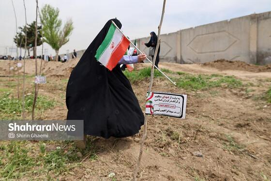 گزارش تصویری | طرح کاشت نهال به یاد دانش آموزان شهید مدرسه میناب