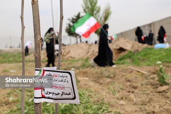 گزارش تصویری | طرح کاشت نهال به یاد دانش آموزان شهید مدرسه میناب