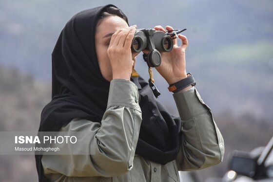 گزارش تصویری | سرشماری حیات وحش جنگل‌های هیرکانی رودبارک - سمنان